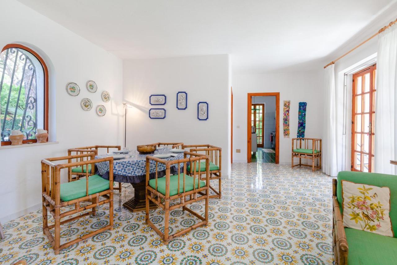 Villetta Con Giardino Esclusivo Di 1000 Mq, Piscina, Tennis, Calcio, Bocce Forio di Ischia Dış mekan fotoğraf