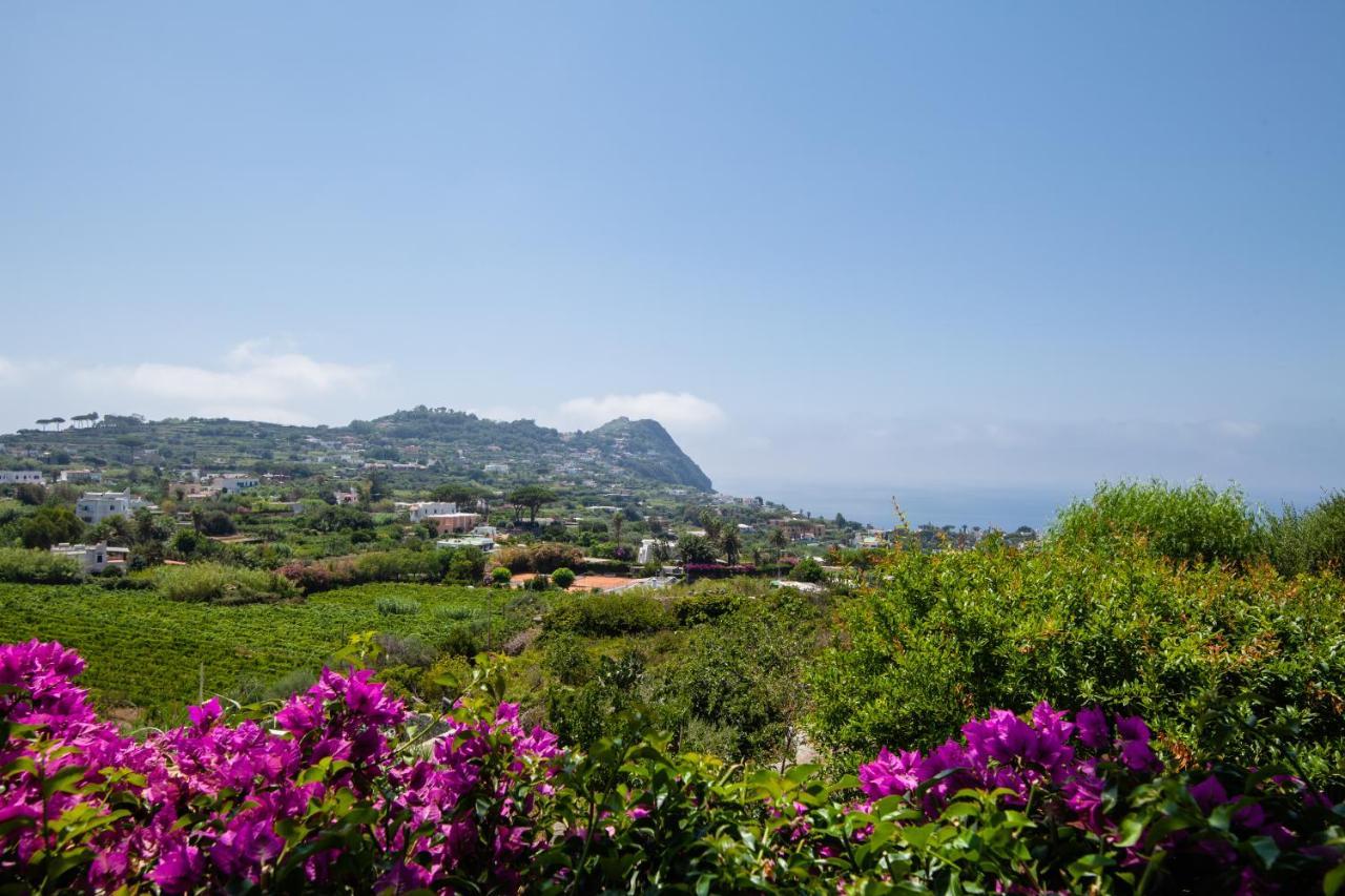 Villetta Con Giardino Esclusivo Di 1000 Mq, Piscina, Tennis, Calcio, Bocce Forio di Ischia Dış mekan fotoğraf