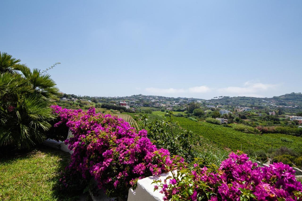 Villetta Con Giardino Esclusivo Di 1000 Mq, Piscina, Tennis, Calcio, Bocce Forio di Ischia Dış mekan fotoğraf