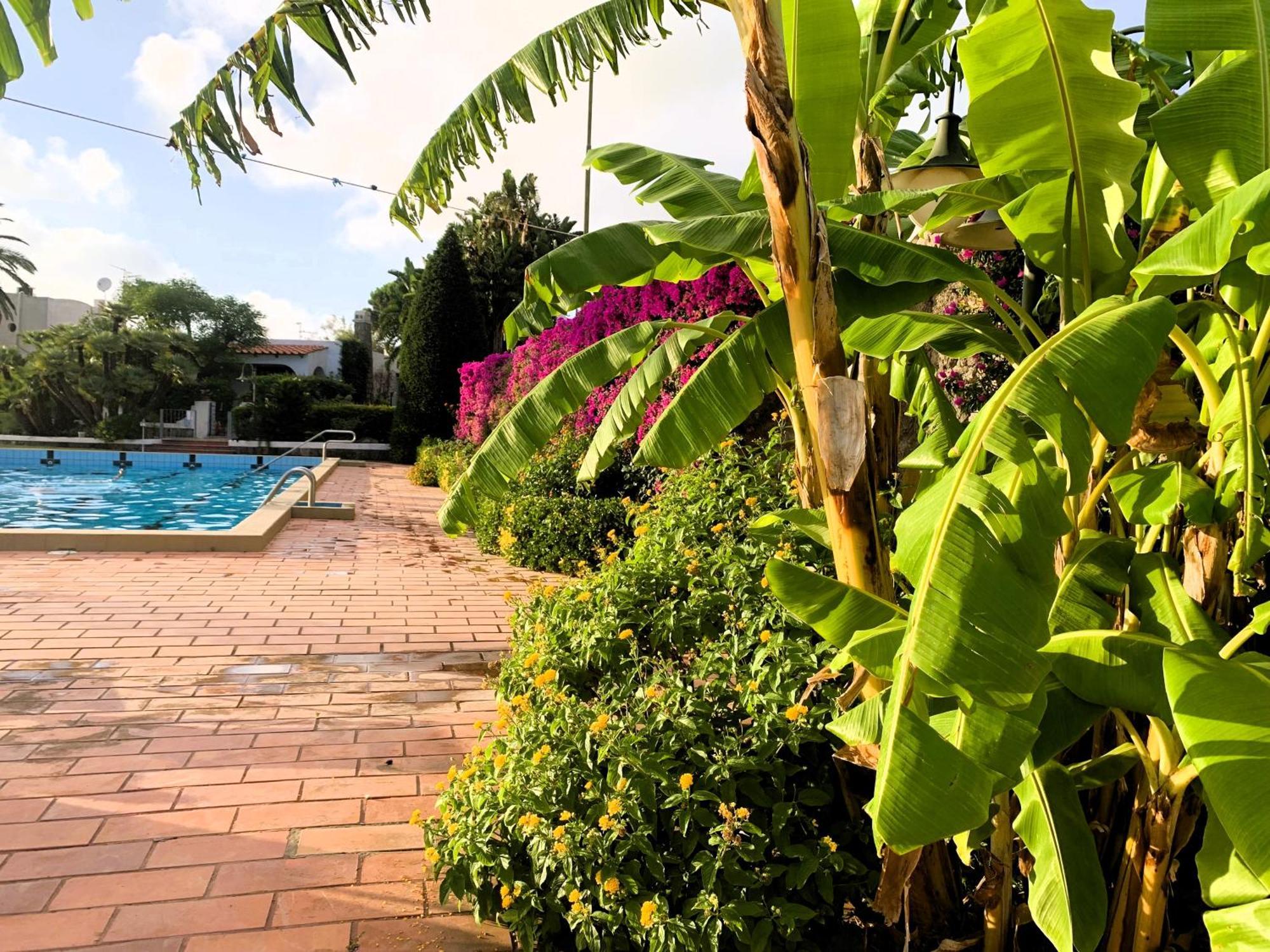 Villetta Con Giardino Esclusivo Di 1000 Mq, Piscina, Tennis, Calcio, Bocce Forio di Ischia Dış mekan fotoğraf
