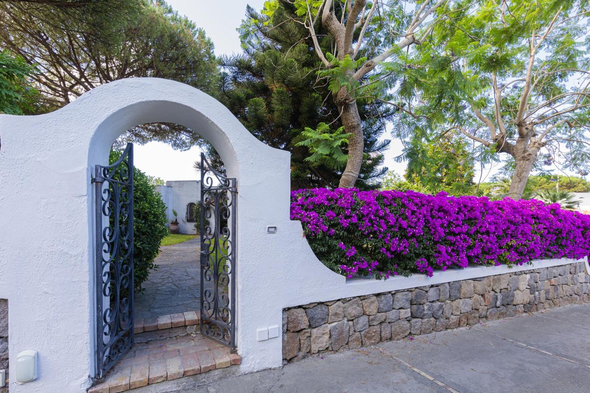 Villetta Con Giardino Esclusivo Di 1000 Mq, Piscina, Tennis, Calcio, Bocce Forio di Ischia Dış mekan fotoğraf