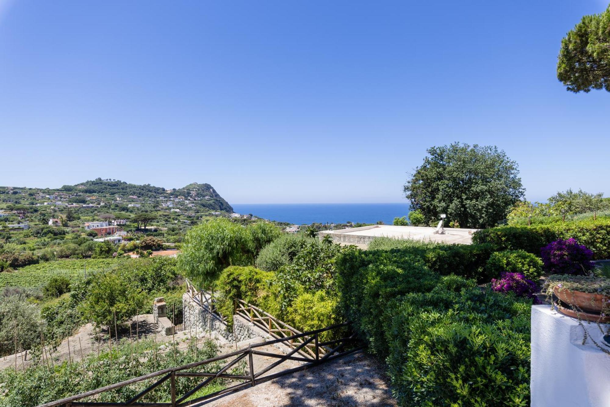 Villetta Con Giardino Esclusivo Di 1000 Mq, Piscina, Tennis, Calcio, Bocce Forio di Ischia Dış mekan fotoğraf