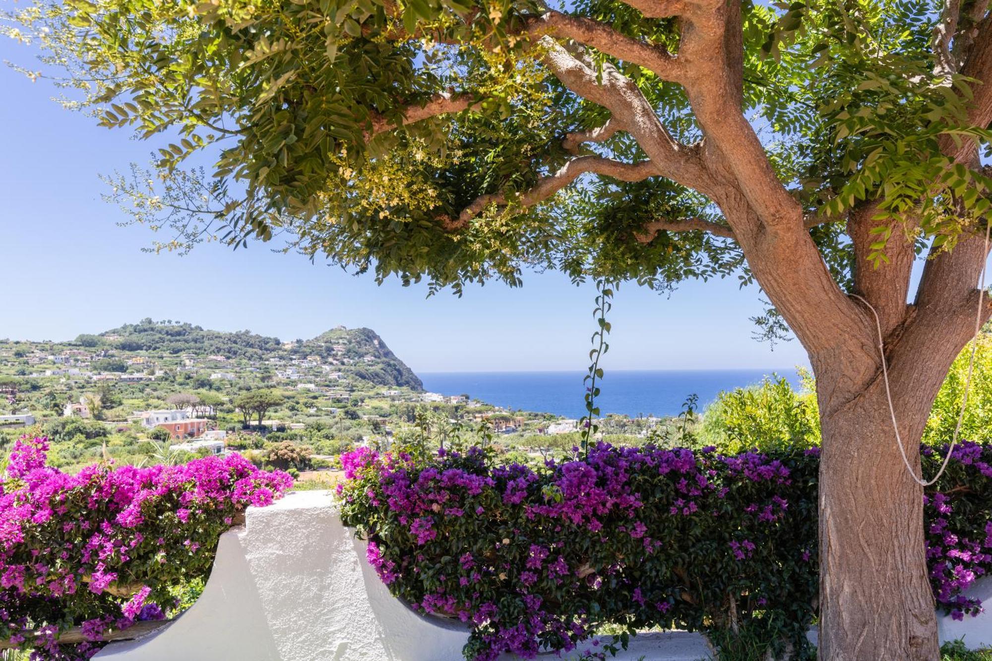 Villetta Con Giardino Esclusivo Di 1000 Mq, Piscina, Tennis, Calcio, Bocce Forio di Ischia Dış mekan fotoğraf