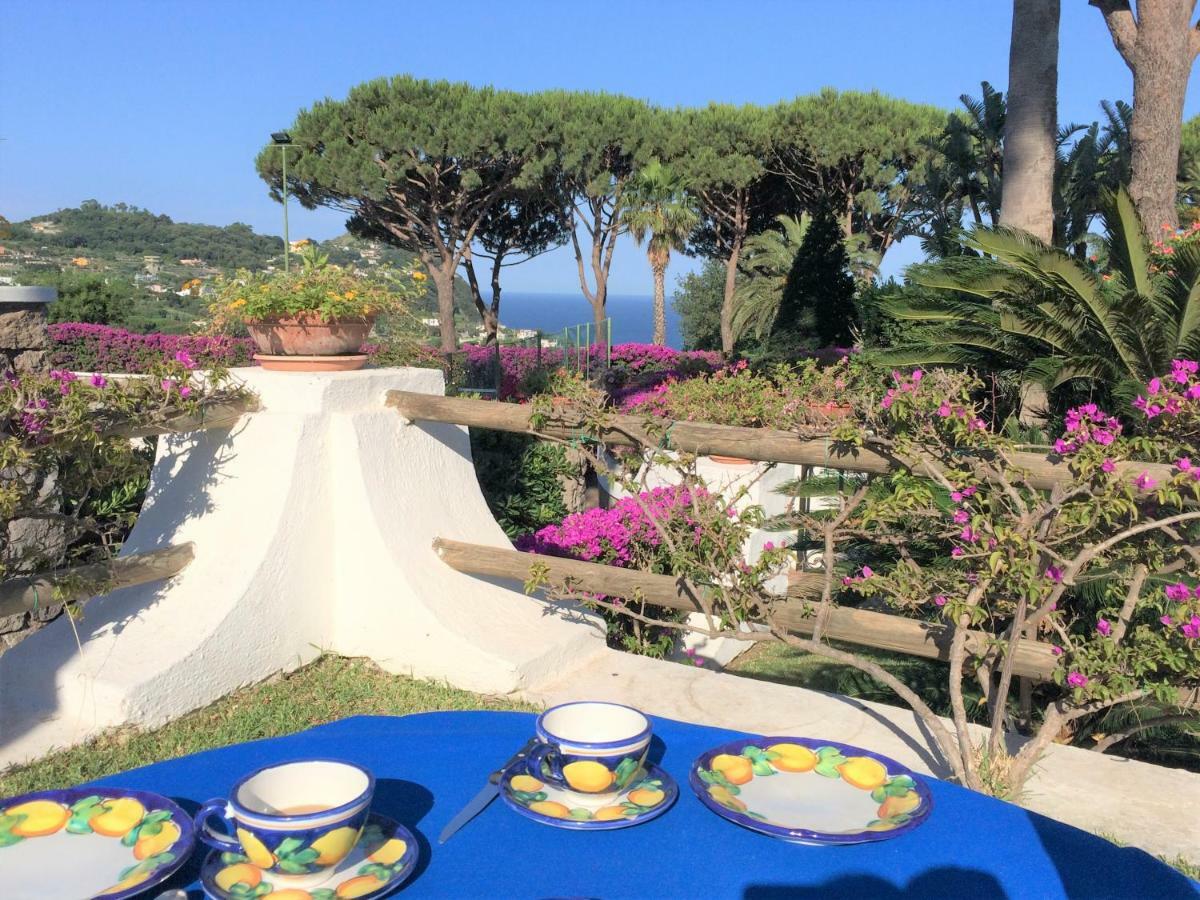 Villetta Con Giardino Esclusivo Di 1000 Mq, Piscina, Tennis, Calcio, Bocce Forio di Ischia Dış mekan fotoğraf